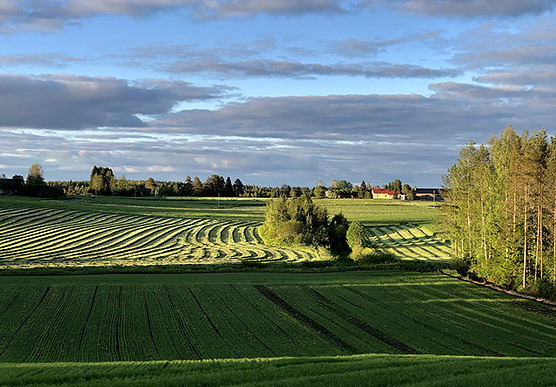 Rural landscape